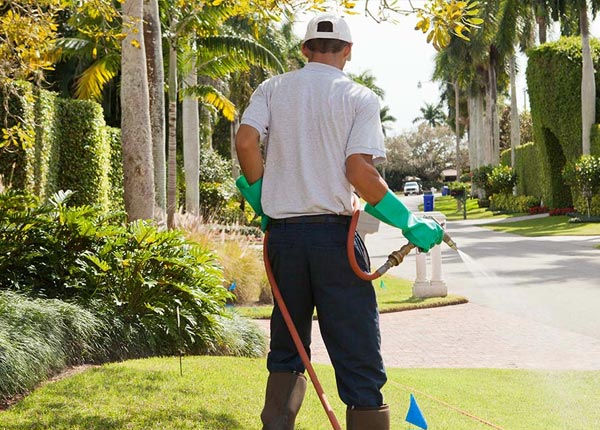 About Dorchester SC Pest Control Pros